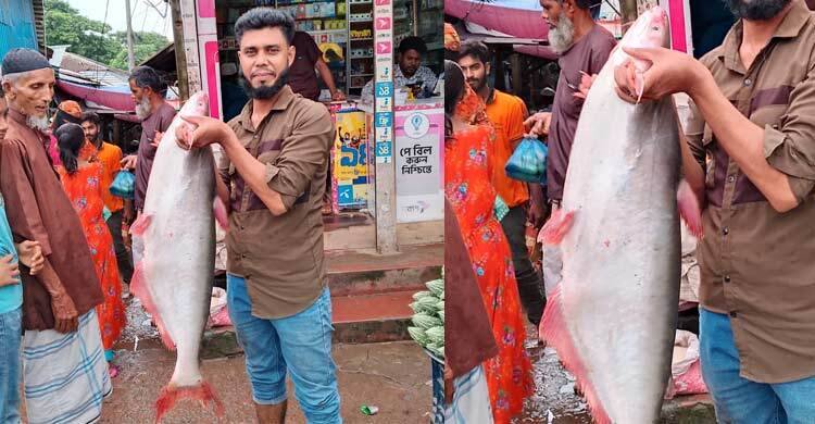 বড়শিতে ধরা পড়ল ১১ কেজির পাঙ্গাশ, ৯ হাজার টাকায় বিক্রি