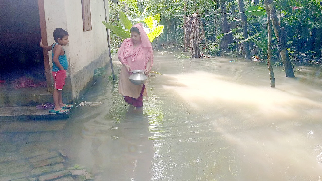 পিরোজপুরে নদ-নদীর পানি বৃদ্ধি, শতাধিক গ্রাম প্লাবিত