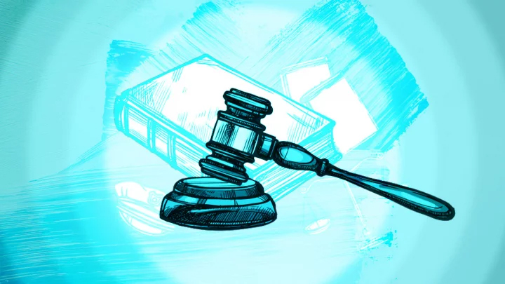 পিরোজপুরে অস্ত্র মামলায় একজনকে ১০ বছরের কারাদণ্ড