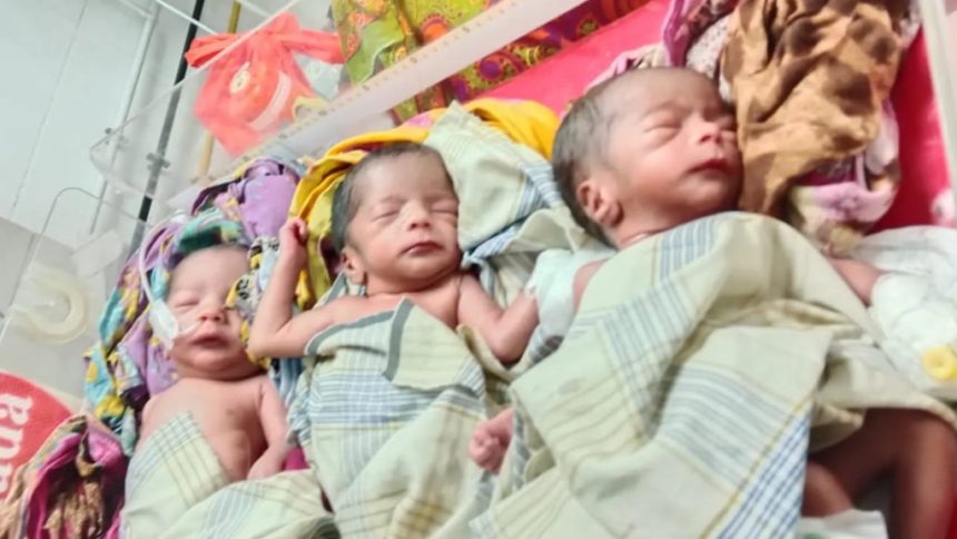 পটুয়াখালীতে একসঙ্গে ৩ সন্তানের জন্ম, আর্থিক সংকটে পরিবার