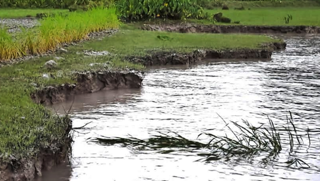 পটুয়াখালীতে রাতের আঁধারে নদী তীরের মাটি লুট
