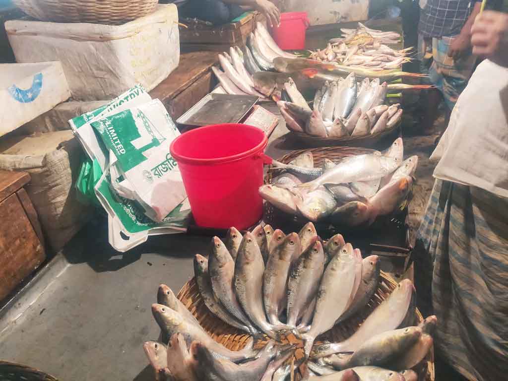 ‘জাটকার দামও মোগো সামর্থ্যের বাইরে’