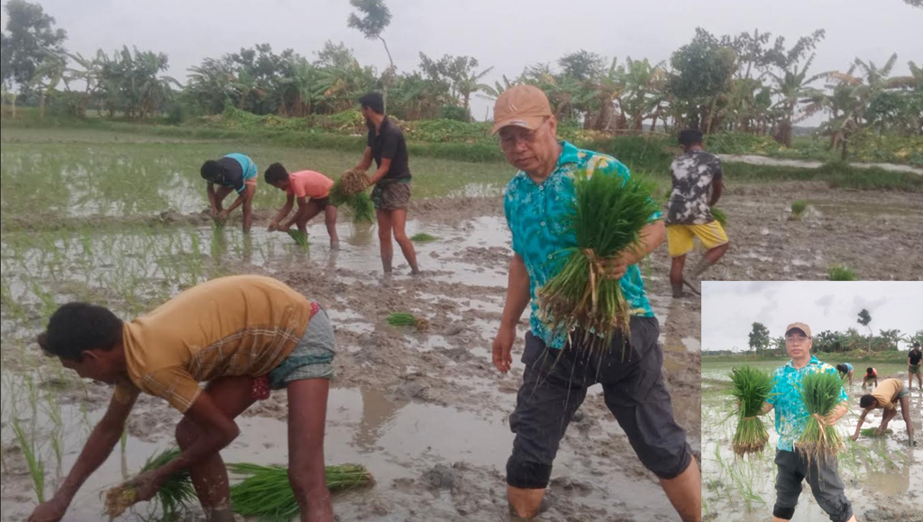 কলাপাড়ায় কৃষিতে সাড়া ফেলেছেন আদিবাসী রাখাইন মংখেলা