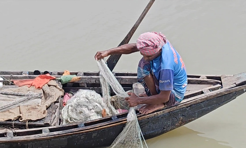 পিরোজপুরের নদীগুলোতে নেই ইলিশ