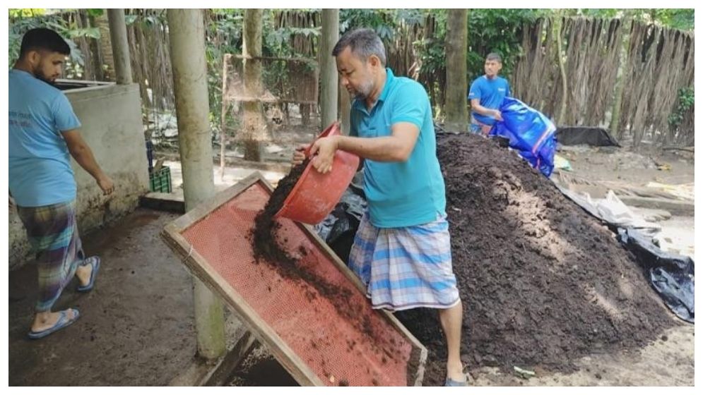 চরফ্যাশনে সার উৎপাদন করে কৃষকের আয় মাসে লাখ টাকা