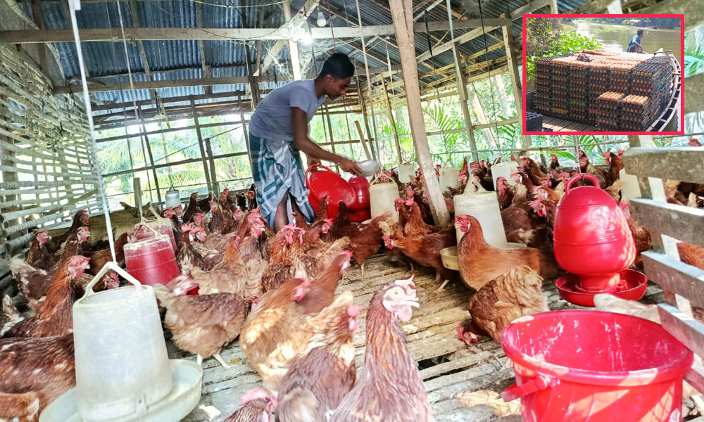 নাজিরপুরে খাদ্যের দাম বৃদ্ধি, ডিমের দামেও নেই স্বস্তি