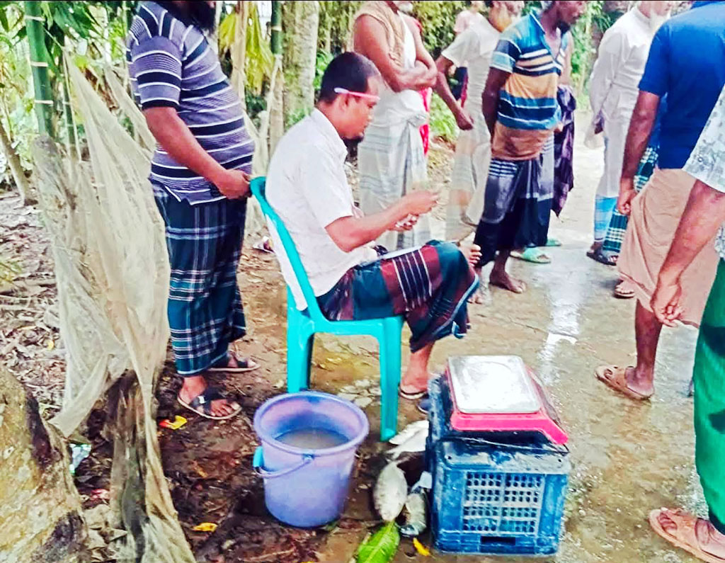 বরিশালে নিষেধাজ্ঞার মধ্যেও চলছে ইলিশ নিধন