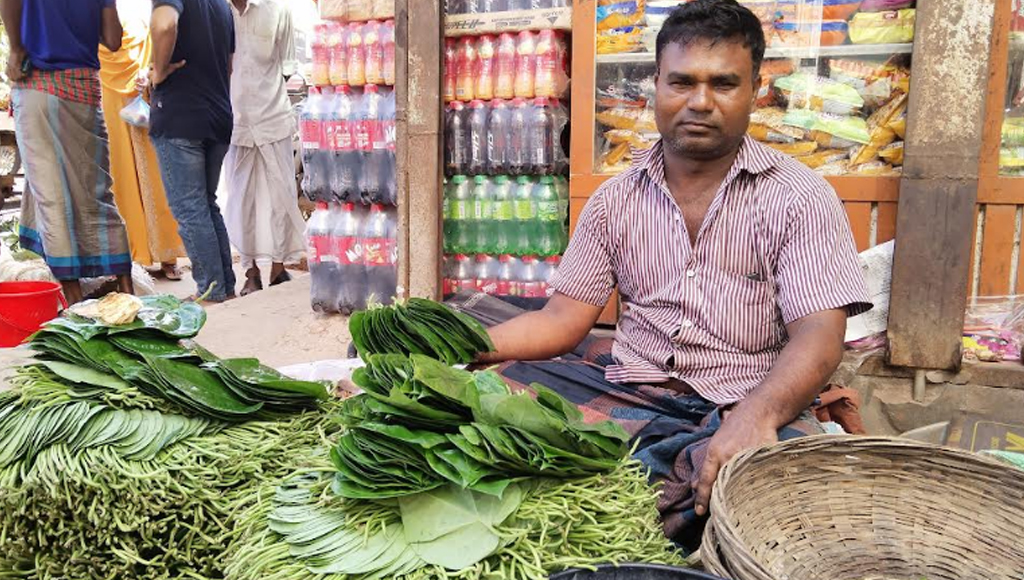 পানের বাজার ধস, হতাশ চাষিরা