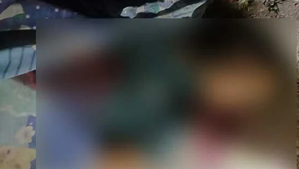 উজিরপুরে গরু চোর ধরতে গিয়ে পিকআপচাপায় নিহত ১, আহত ২