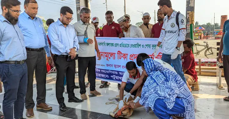 পটুয়াখালীতে বেওয়ারিশ কুকুরের জলাতঙ্ক টিকাদান কর্মসূচি শুরু